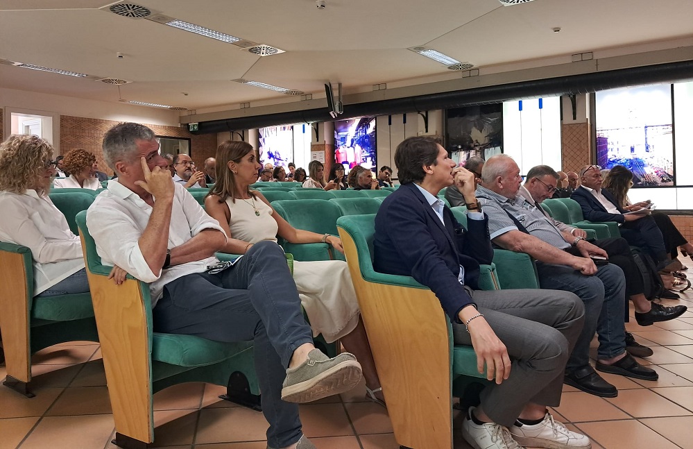 113 platea 1000
