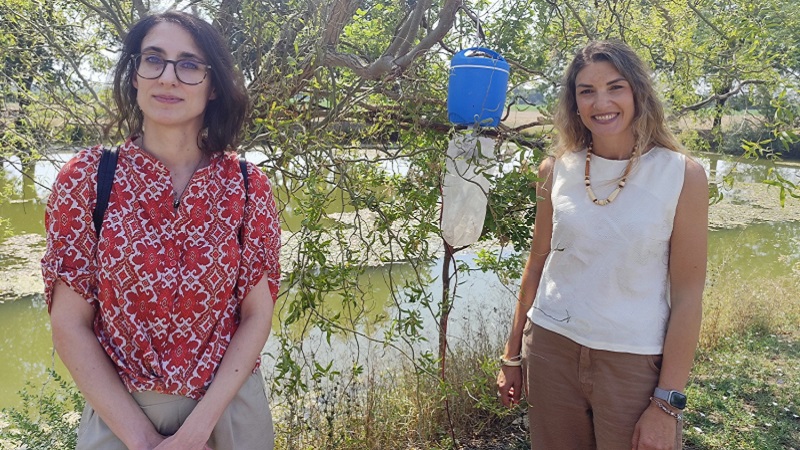 153 da sin Antonella Greco Servizio Igiene Pubblica e Gioia Biasi Servizio veterinario 800 x 450