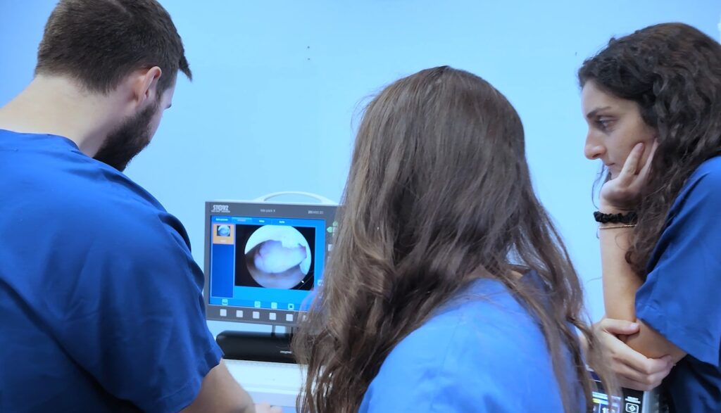 173 operatori in ambulatorio2