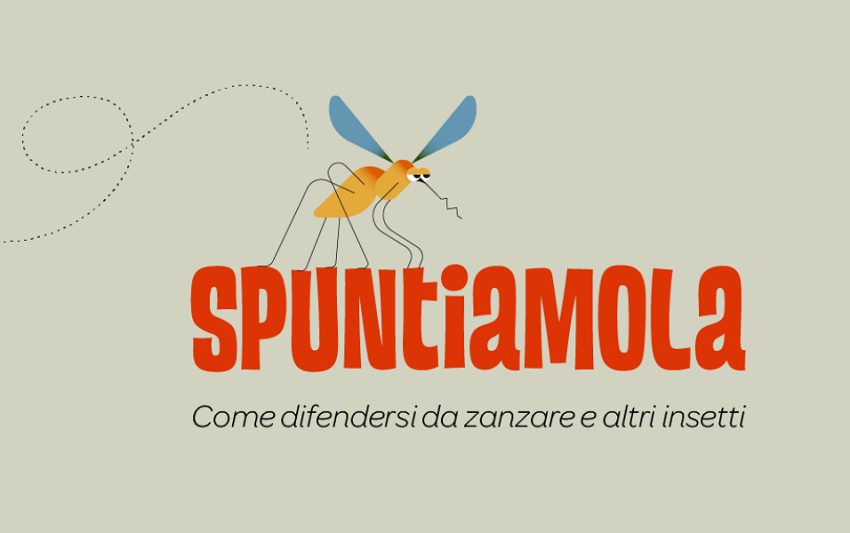 CopertinanewsZanzara_2024