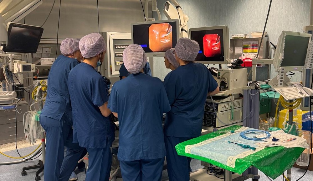 Formazione endoscopia 1000