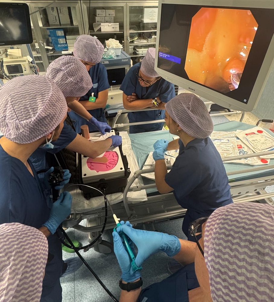 Formazione endoscopia 2 1000