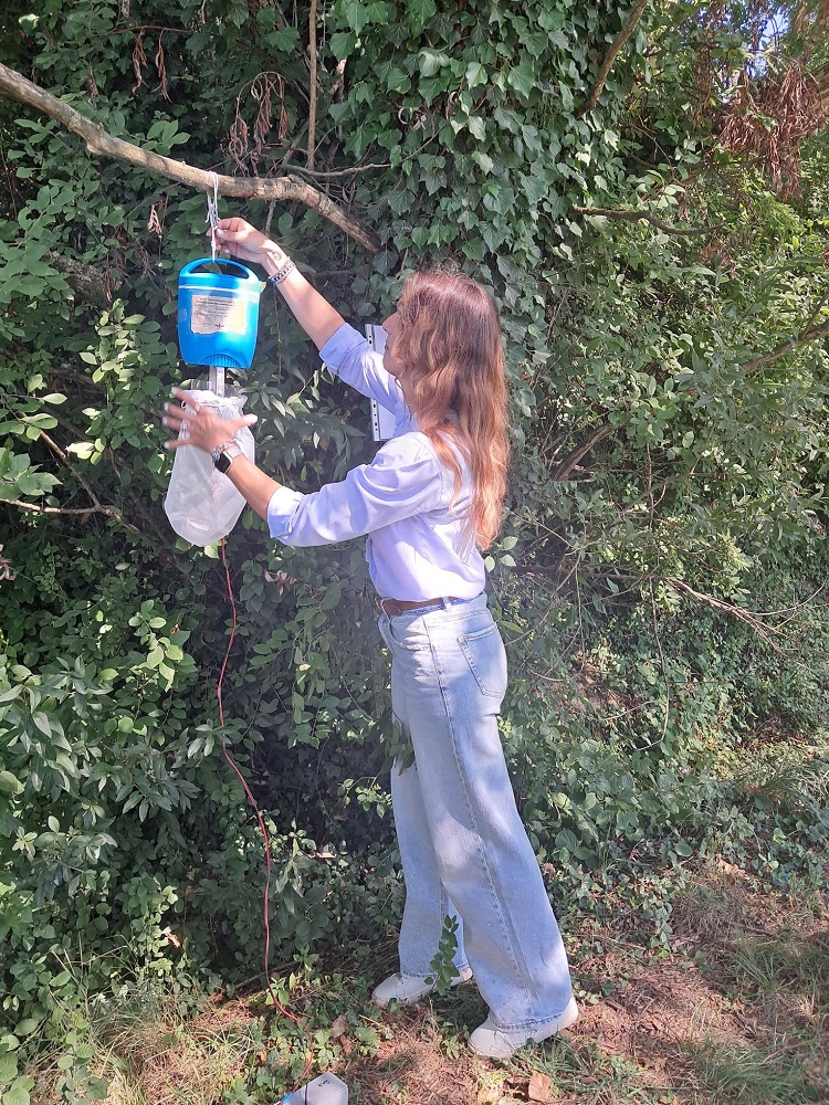 Gioia Biasi 1000