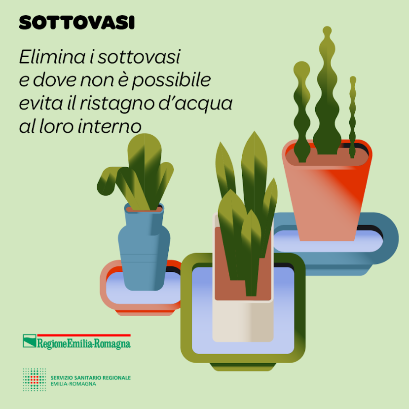 Spuntiamola sottovasi