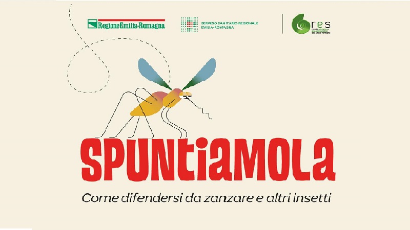 Zanzare 800 x 450 1